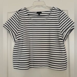 The Limited Women's Crop Top